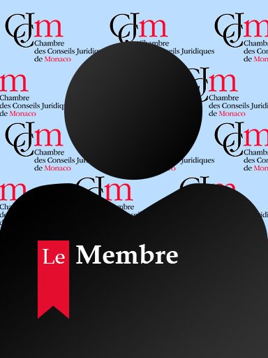SAM BILLON CONSEIL <br>SERVICES